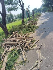 IMG-20251009-WA0018-1